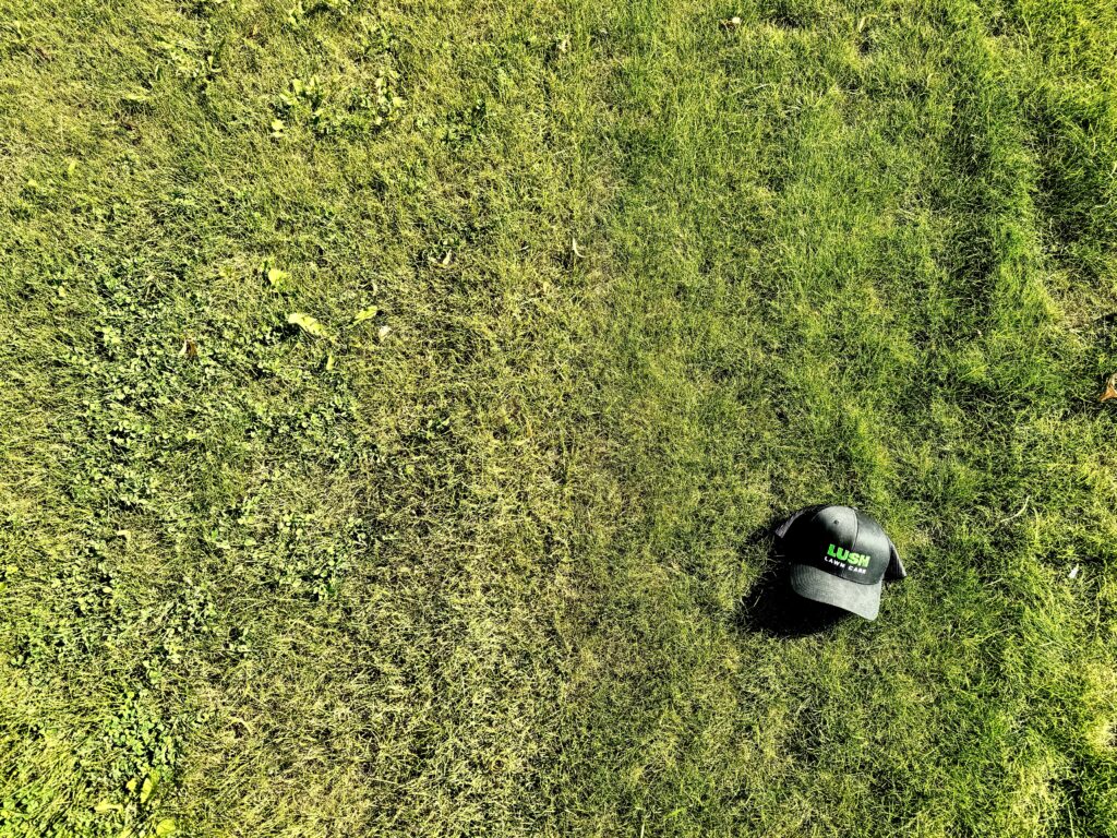 Before and after lawn transformation showing the results of Lush Lawn Care services in Edmonton