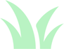 Lush Lawn Care grass accent graphic